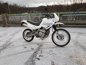 Honda Dominator NX650 rd08